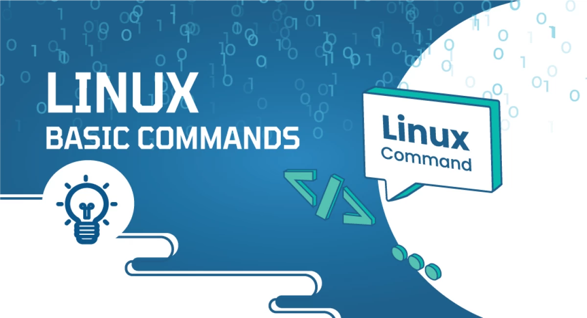 Beginner's Guide to Linux Commands for Hosting Laravel Project on AWS
